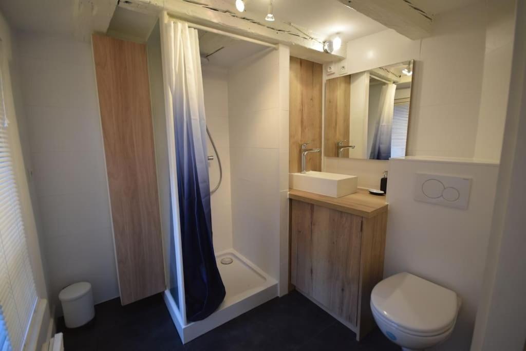 Le Studio Du Quai Des Pecheurs - Charmant Duplex Sur Les Quais Strasbourg Eksteriør bilde