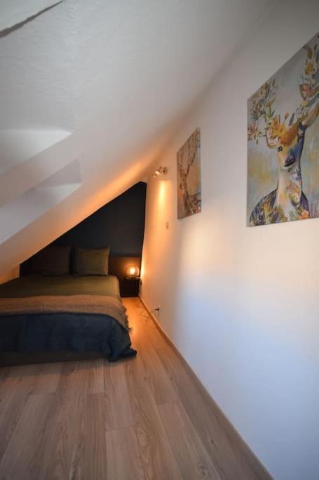 Le Studio Du Quai Des Pecheurs - Charmant Duplex Sur Les Quais Strasbourg Eksteriør bilde