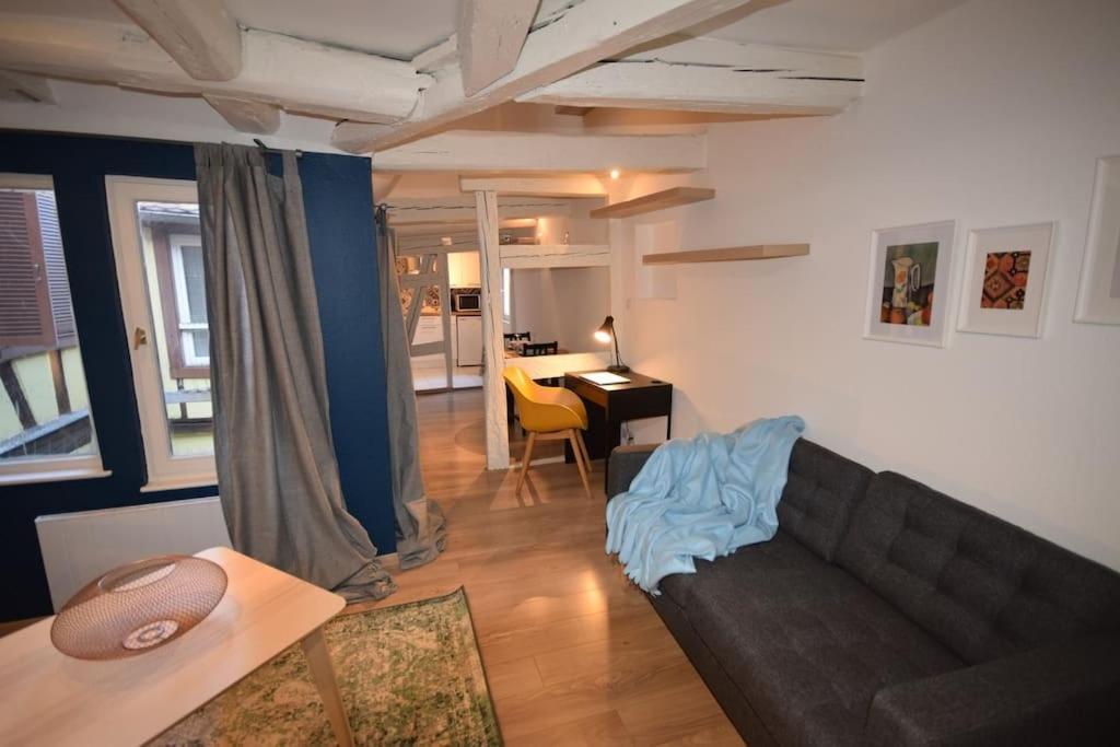 Le Studio Du Quai Des Pecheurs - Charmant Duplex Sur Les Quais Strasbourg Eksteriør bilde