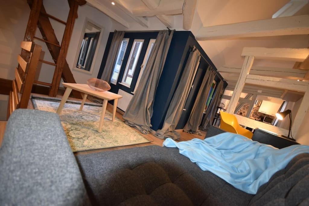 Le Studio Du Quai Des Pecheurs - Charmant Duplex Sur Les Quais Strasbourg Eksteriør bilde