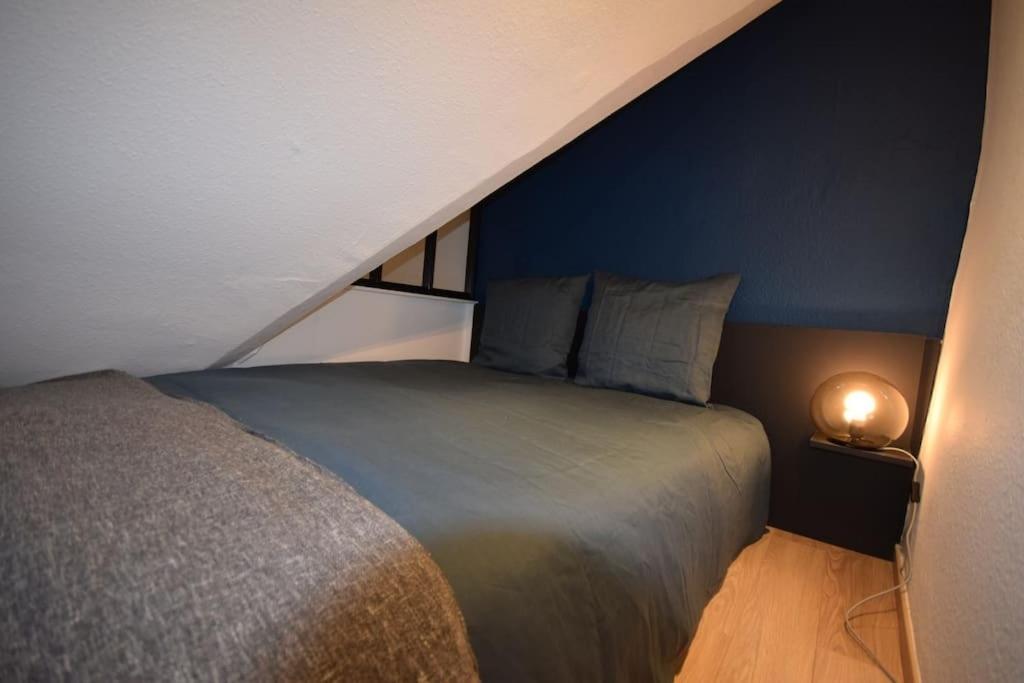 Le Studio Du Quai Des Pecheurs - Charmant Duplex Sur Les Quais Strasbourg Eksteriør bilde